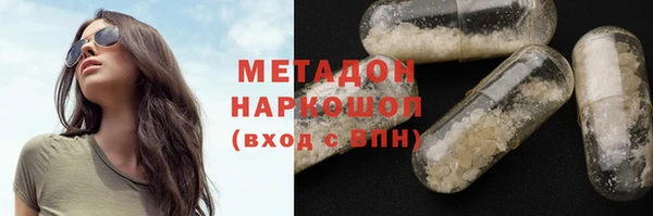 стаф Алексин