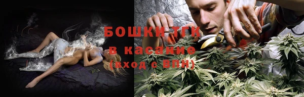 стаф Алексин