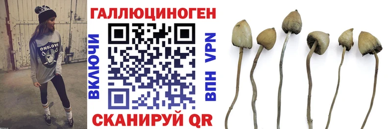 купить   darknet формула  Псилоцибиновые грибы Magic Shrooms  Мензелинск 